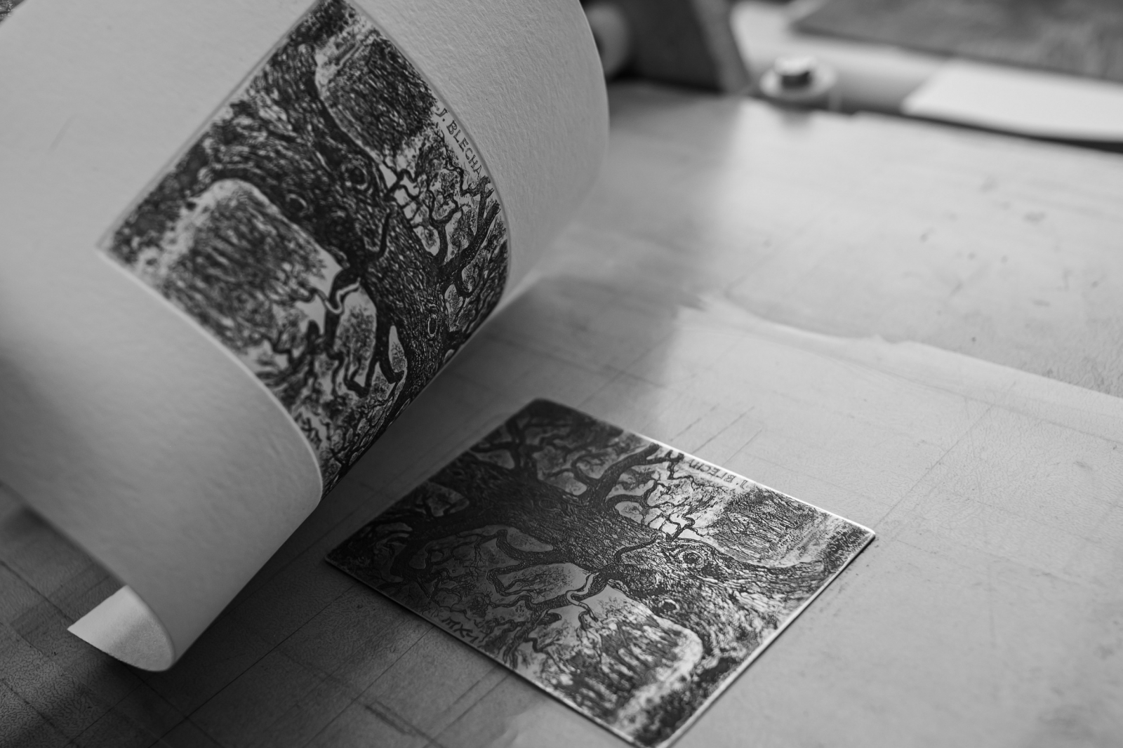 SPOLEK SBĚRATELŮ A PŘÁTEL EX LIBRIS • PETŘÍK, Miroslav